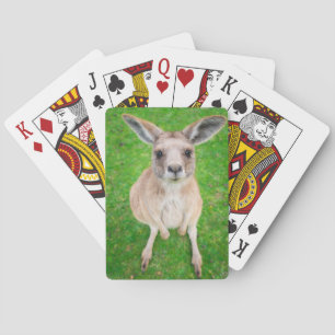 Getty Afbeeldingen   Baby Kangaroo Pokerkaarten