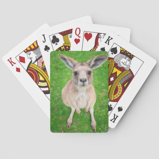 Getty Afbeeldingen | Baby Kangaroo Pokerkaarten (Achterkant)