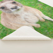 Getty Afbeeldingen | Baby Kangaroo Sherpa Deken (3/4)