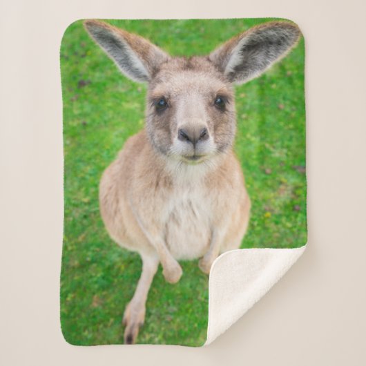 Getty Afbeeldingen | Baby Kangaroo Sherpa Deken (Voorkant)