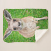 Getty Afbeeldingen | Baby Kangaroo Sherpa Deken (Voorkant (horizontaal))