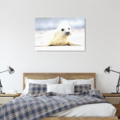 Getty Afbeeldingen | Baby zegel Canvas Afdruk (Insitu (Slaapkamer))