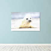 Getty Afbeeldingen | Baby zegel Canvas Afdruk (Insitu (Houten vloer))