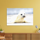 Getty Afbeeldingen | Baby zegel Canvas Afdruk (Insitu (Woonkamer))