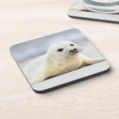 Getty Afbeeldingen | Baby zegel Drankjes Onderzetter (Linkerzijde)