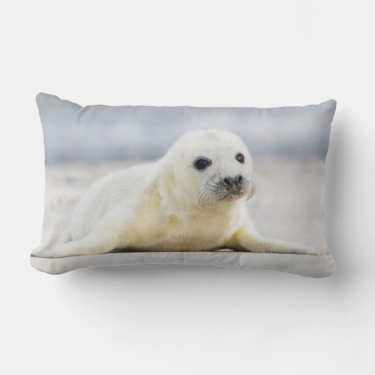 Getty Afbeeldingen | Baby zegel Kussen (Voorkant)