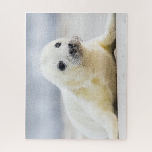 Getty Afbeeldingen | Baby zegel Legpuzzel (Verticaal)