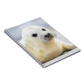 Getty Afbeeldingen | Baby zegel Notitieboek (Rechterzijde)