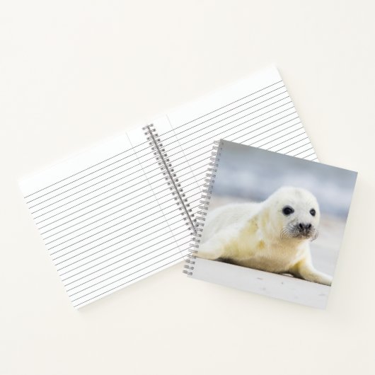 Getty Afbeeldingen | Baby zegel Notitieboek (Binnen)