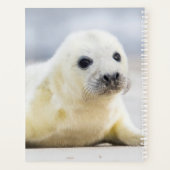Getty Afbeeldingen | Baby zegel Planner (Achterkant)
