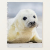 Getty Afbeeldingen | Baby zegel Planner (Voorkant)