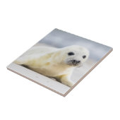 Getty Afbeeldingen | Baby zegel Tegeltje (Zijkant)