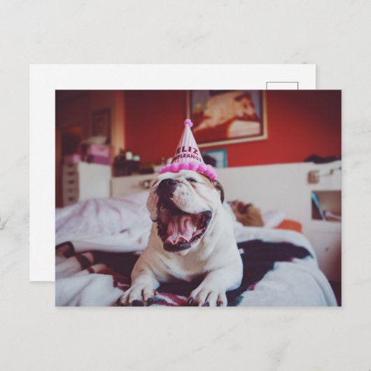 Getty Afbeeldingen | British Bulldog Briefkaart (Voorkant / Achterkant)