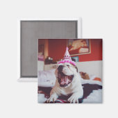 Getty Afbeeldingen | British Bulldog Magneet (Voorkant / Achterkant)