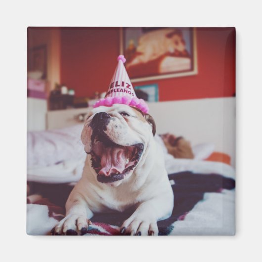 Getty Afbeeldingen | British Bulldog Magneet (Voorkant)