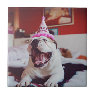 Getty Afbeeldingen British Bulldog Tegeltje