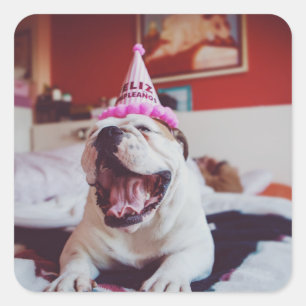 Getty Afbeeldingen   British Bulldog Vierkante Sticker