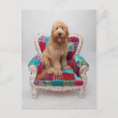 Getty Afbeeldingen | Cute Goldendole Briefkaart (Voorkant)