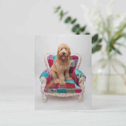 Getty Afbeeldingen | Cute Goldendole Briefkaart (Staand voorkant)