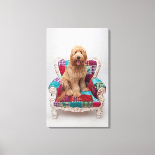 Getty Afbeeldingen | Cute Goldendole Canvas Afdruk (Voorkant)