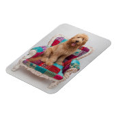 Getty Afbeeldingen | Cute Goldendole Magneet (Linkerzijde)