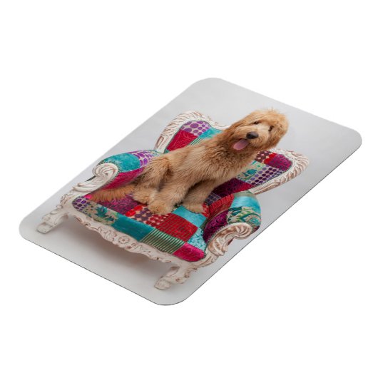 Getty Afbeeldingen | Cute Goldendole Magneet (Linkerzijde)