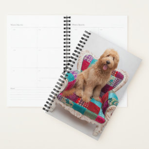 Getty Afbeeldingen   Cute Goldendole Planner