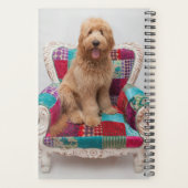 Getty Afbeeldingen | Cute Goldendole Planner (Achterkant)