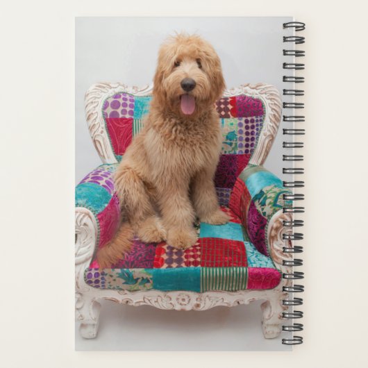 Getty Afbeeldingen | Cute Goldendole Planner (Achterkant)