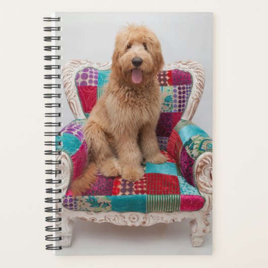 Getty Afbeeldingen | Cute Goldendole Planner (Voorkant)