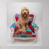 Getty Afbeeldingen | Cute Goldendole Poster (Voorkant)