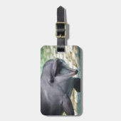 Getty Afbeeldingen | Dolfijnen Bagagelabel (Voorkant verticaal)