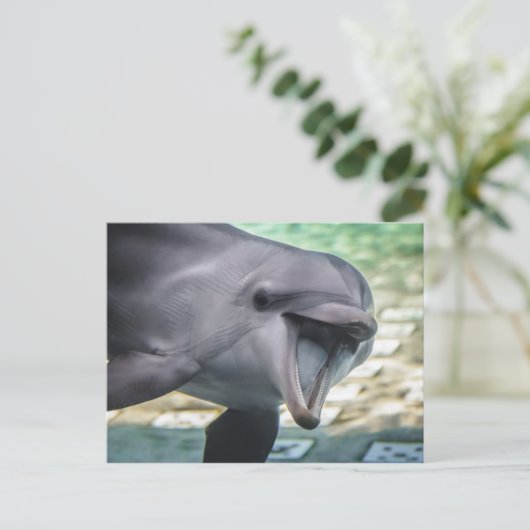 Getty Afbeeldingen | Dolfijnen Briefkaart (Staand voorkant)