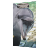 Getty Afbeeldingen | Dolfijnen Klembord (Links)