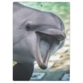 Getty Afbeeldingen | Dolfijnen Klembord (Achterkant)