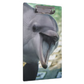 Getty Afbeeldingen | Dolfijnen Klembord (Rechts)