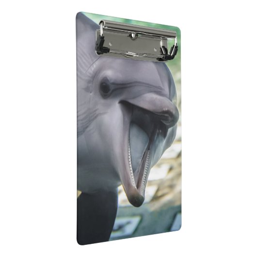 Getty Afbeeldingen | Dolfijnen Mini Klembord (Schuin)