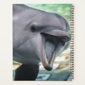 Getty Afbeeldingen | Dolfijnen Planner (Achterkant)