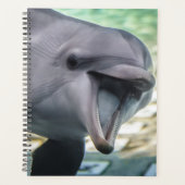 Getty Afbeeldingen | Dolfijnen Planner (Voorkant)