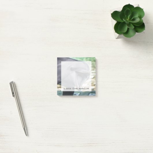 Getty Afbeeldingen | Dolfijnen Post-it® Notes (Kantoor)