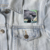 Getty Afbeeldingen | Dolfijnen Vierkante Button 5,1 Cm (In situ)