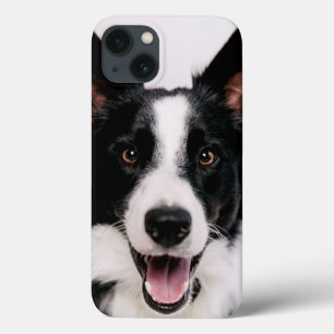 Getty Afbeeldingen   Een glimlach-grenscollie iPhone 13 Hoesje