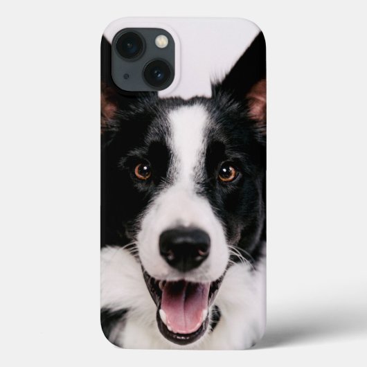 Getty Afbeeldingen | Een glimlach-grenscollie Case-Mate iPhone Case (Achterkant)