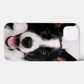 Getty Afbeeldingen | Een glimlach-grenscollie Case-Mate iPhone Case (Achterkant (horizontaal))
