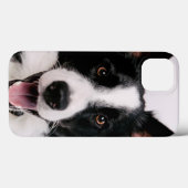 Getty Afbeeldingen | Een glimlach-grenscollie Case-Mate iPhone Case (Achterkant (horizontaal))