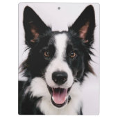 Getty Afbeeldingen | Een glimlach-grenscollie Klembord (Achterkant)