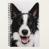 Getty Afbeeldingen | Een glimlach-grenscollie Planner (Voorkant)
