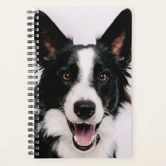 Getty Afbeeldingen | Een glimlach-grenscollie Planner (Voorkant)