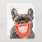 Getty Afbeeldingen | Een glimlende hond Briefkaart (Voorkant / Achterkant)