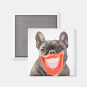 Getty Afbeeldingen | Een glimlende hond Magneet (Voorkant / Achterkant)